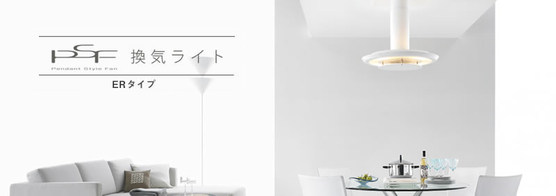 ���C���C�gPSF�@ER�^�C�v